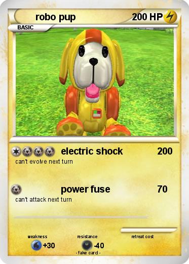 Pokemon robo pup