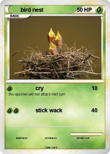 Pokemon bird nest