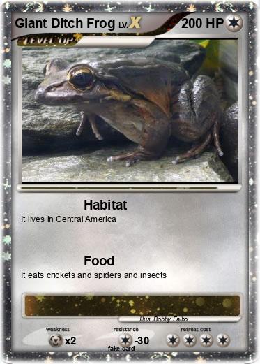 Pokemon Giant Ditch Frog