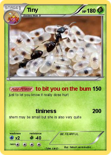 Pokemon Tiny