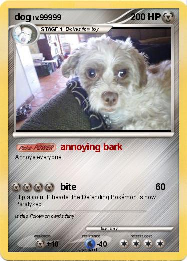 Pokemon dog
