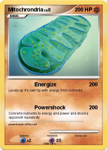 Pokemon Mitochrondria