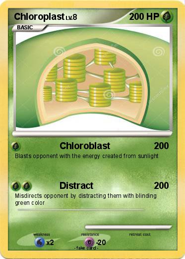 Pokemon Chloroplast