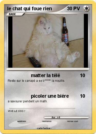 Pokemon le chat qui foue rien