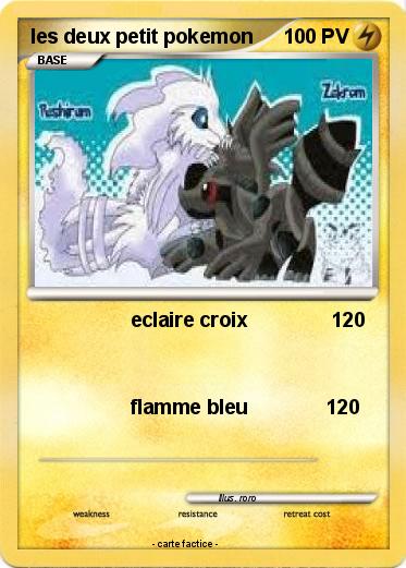 Pokemon les deux petit pokemon