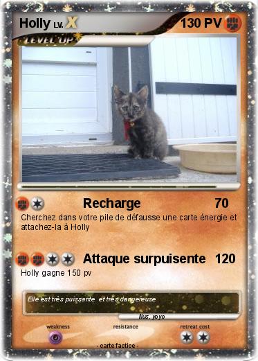Pokemon Holly