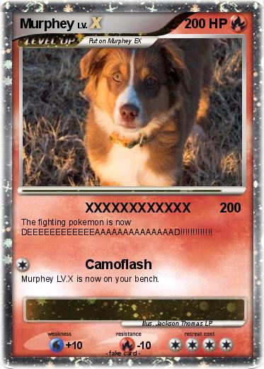 Pokemon Murphey