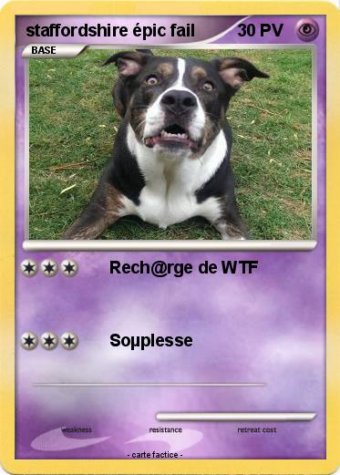 Pokemon staffordshire épic fail