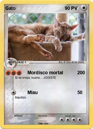 Pokemon Gato