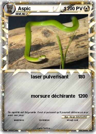 Pokemon Aspic                         1