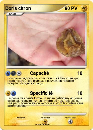 Pokemon Doris citron