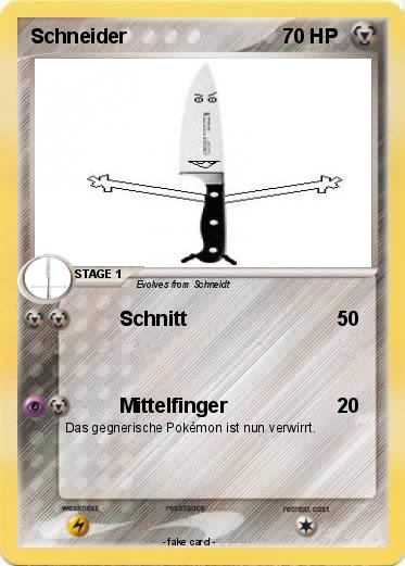 Pokemon Schneider