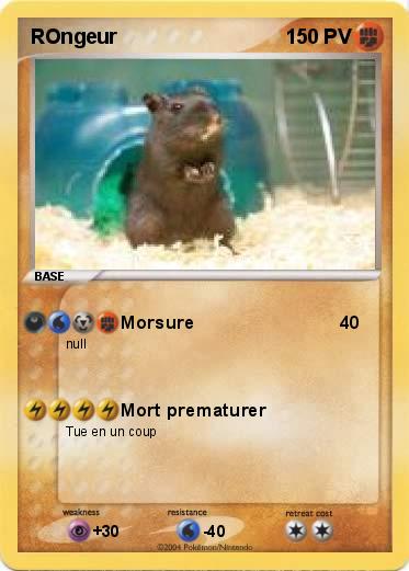 Pokemon ROngeur