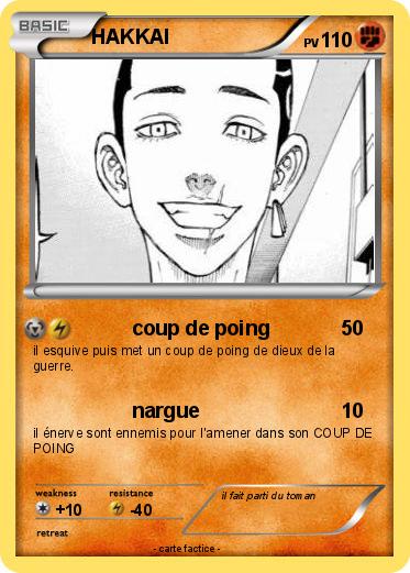Pokemon HAKKAI