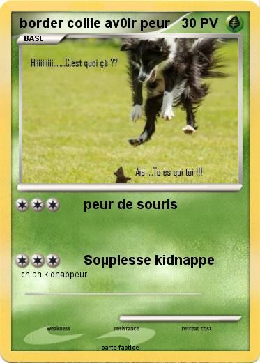 Pokemon border collie av0ir peur