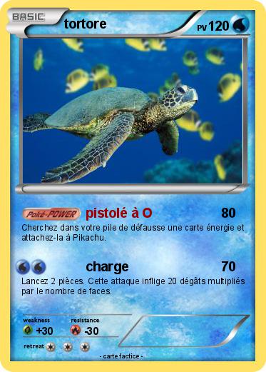Pokemon tortore
