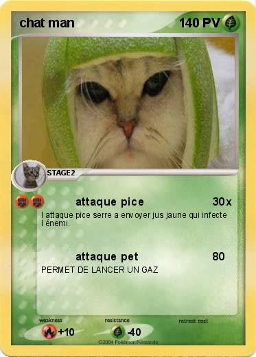 Pokemon chat man