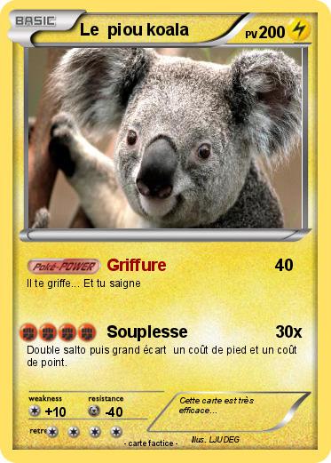 Pokemon Le  piou koala
