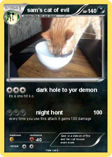 Pokemon sam's cat of evil