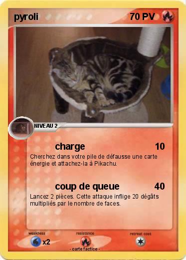 Pokemon pyroli