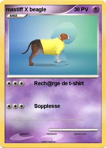 Pokemon mastiff X beagle