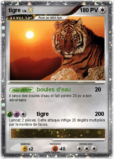 Pokemon tigre