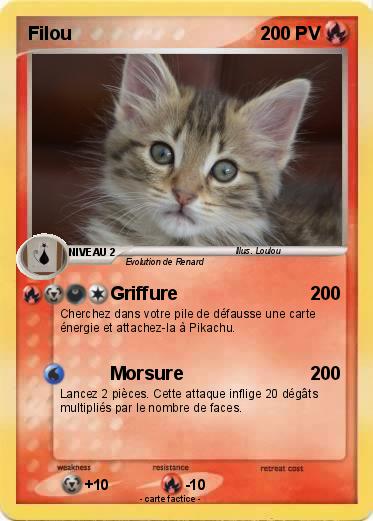 Pokemon Filou
