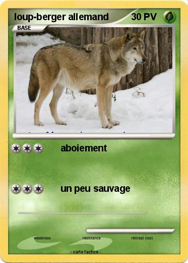 Pokemon loup-berger allemand