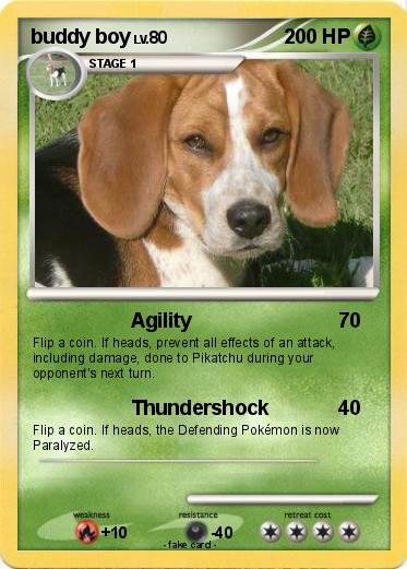 Pokemon buddy boy