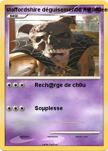 Pokemon staffordshire déguisement d'h@ll0lleen