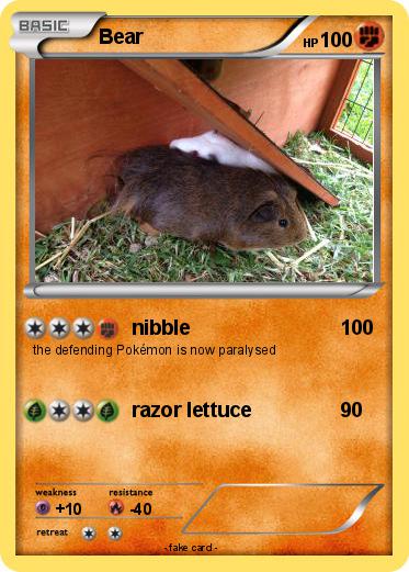 Pokemon Bear