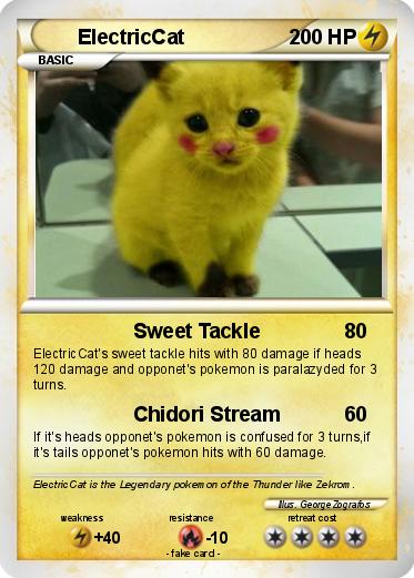 Pokemon ElectricCat