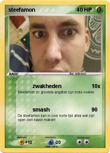 Pokemon steefamon