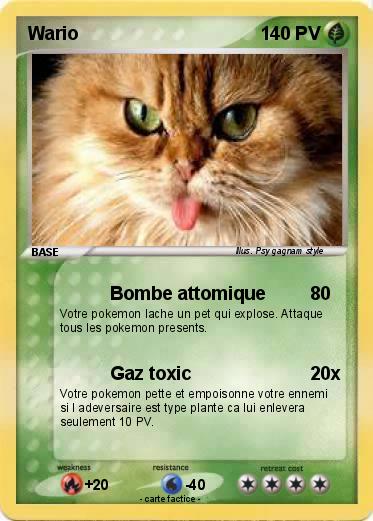 Pokemon Wario