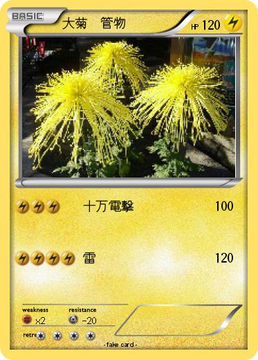Pokemon 大菊　管物