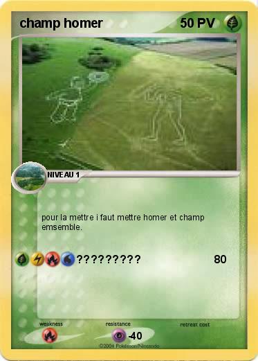 Pokemon champ homer