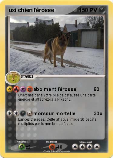 Pokemon uxi chien férosse