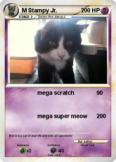 Pokemon M Stampy Jr.
