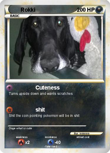 Pokemon Rokki