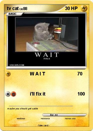 Pokemon tv cat
