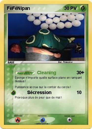 Pokemon FéFéNipan