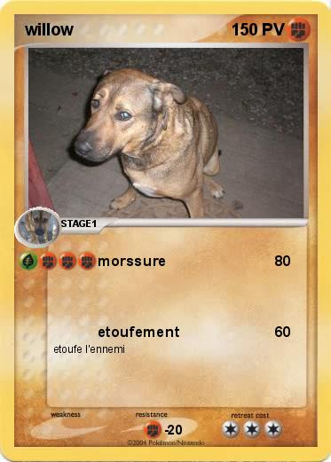 Pokemon willow