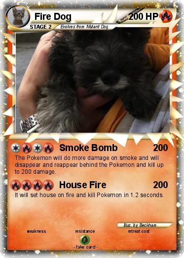 Pokemon Fire Dog