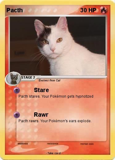 Pokemon Pacth