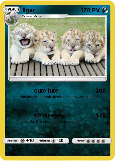 Pokemon ligar