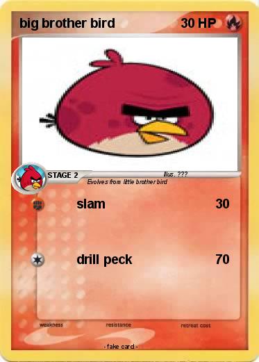 Pokemon big brother bird