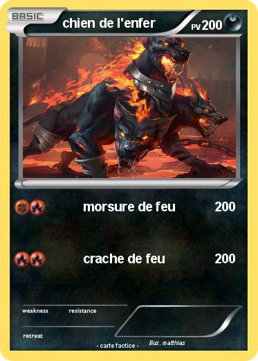 Pokemon chien de l'enfer