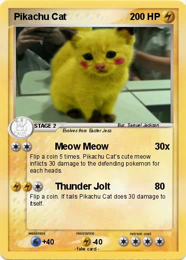 Pokemon Pikachu Cat
