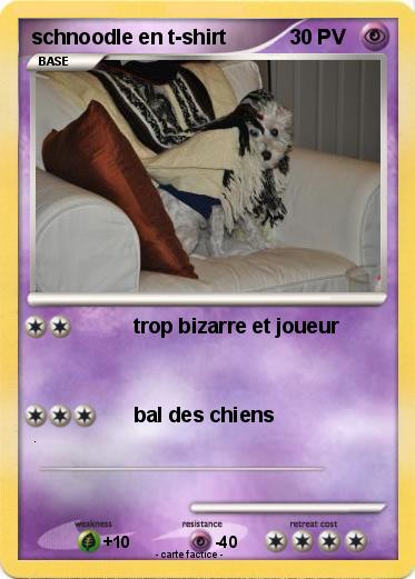 Pokemon schnoodle en t-shirt