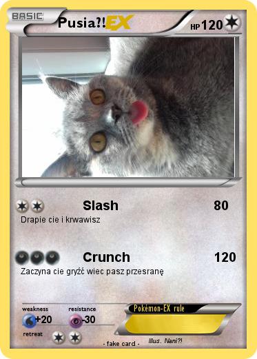 Pokemon Pusia?!